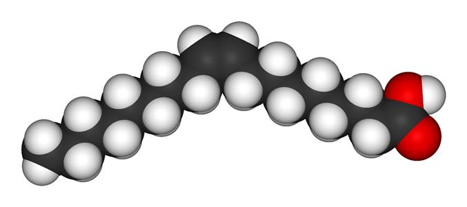 16:1 t monounsaturated fatty acid